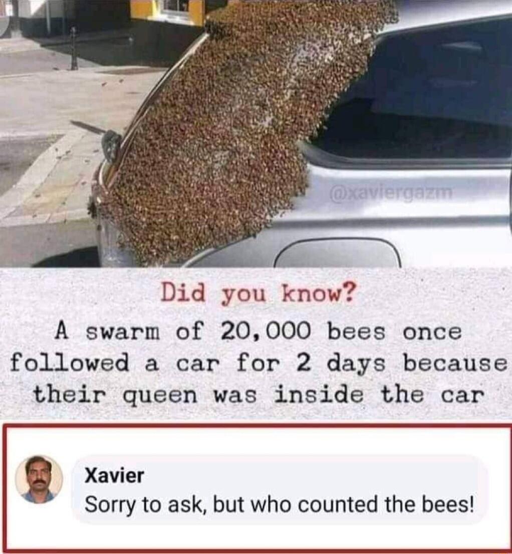 Did you know A swarm of 20000 bees once followed a car for 2 days because their queen was inside the car Xavier Sorry to ask but who counted the bees