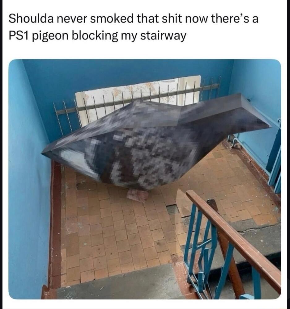 Shoulda never smoked that shit now there’s a PS1 pigeon blocking my stairway