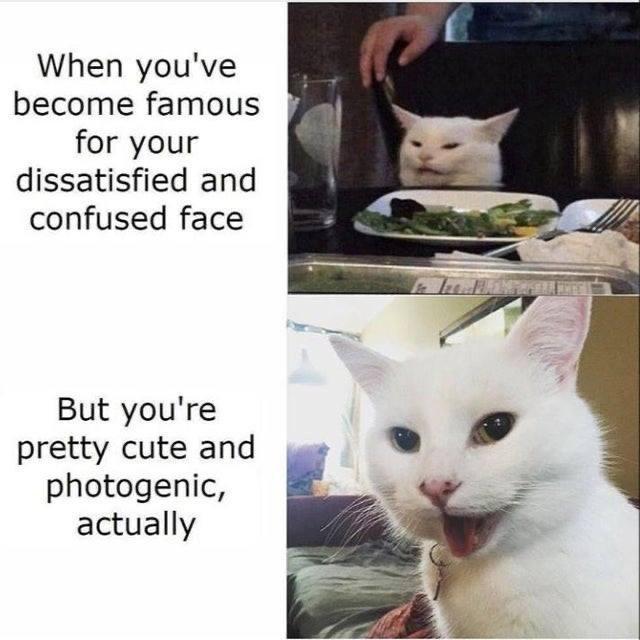 When youve become famous for your dissatisfied and confused face But youre pretty cute and photogenic actually