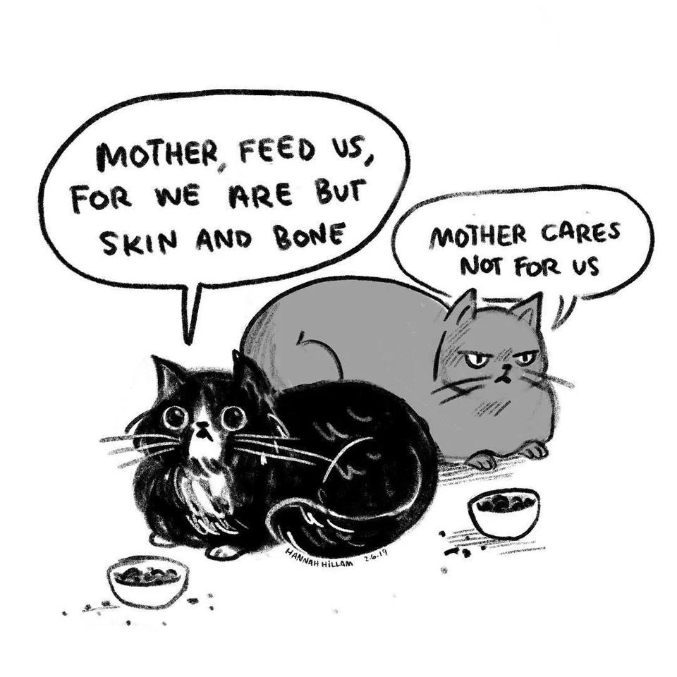 MOTHER FEED Vs FoR WE RRE BT SKIN AND BoNE MOTHER CARES NoT For uS f 7104 2