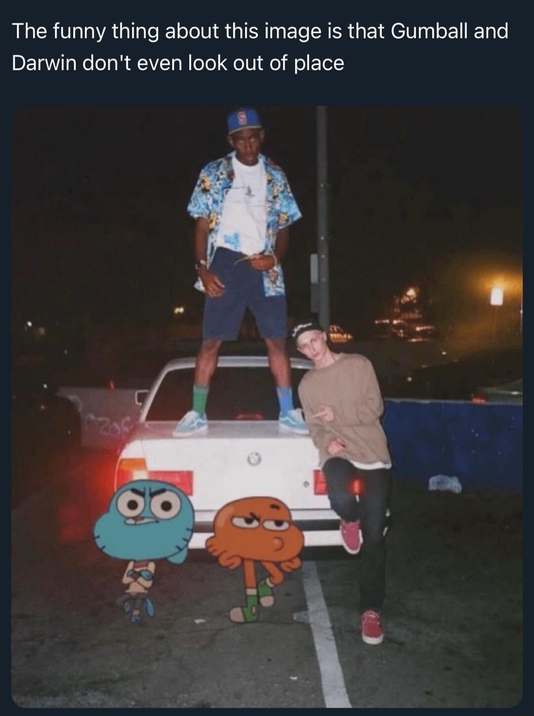 The funny thing about this image is that Gumball and Darwin dont even look out of place