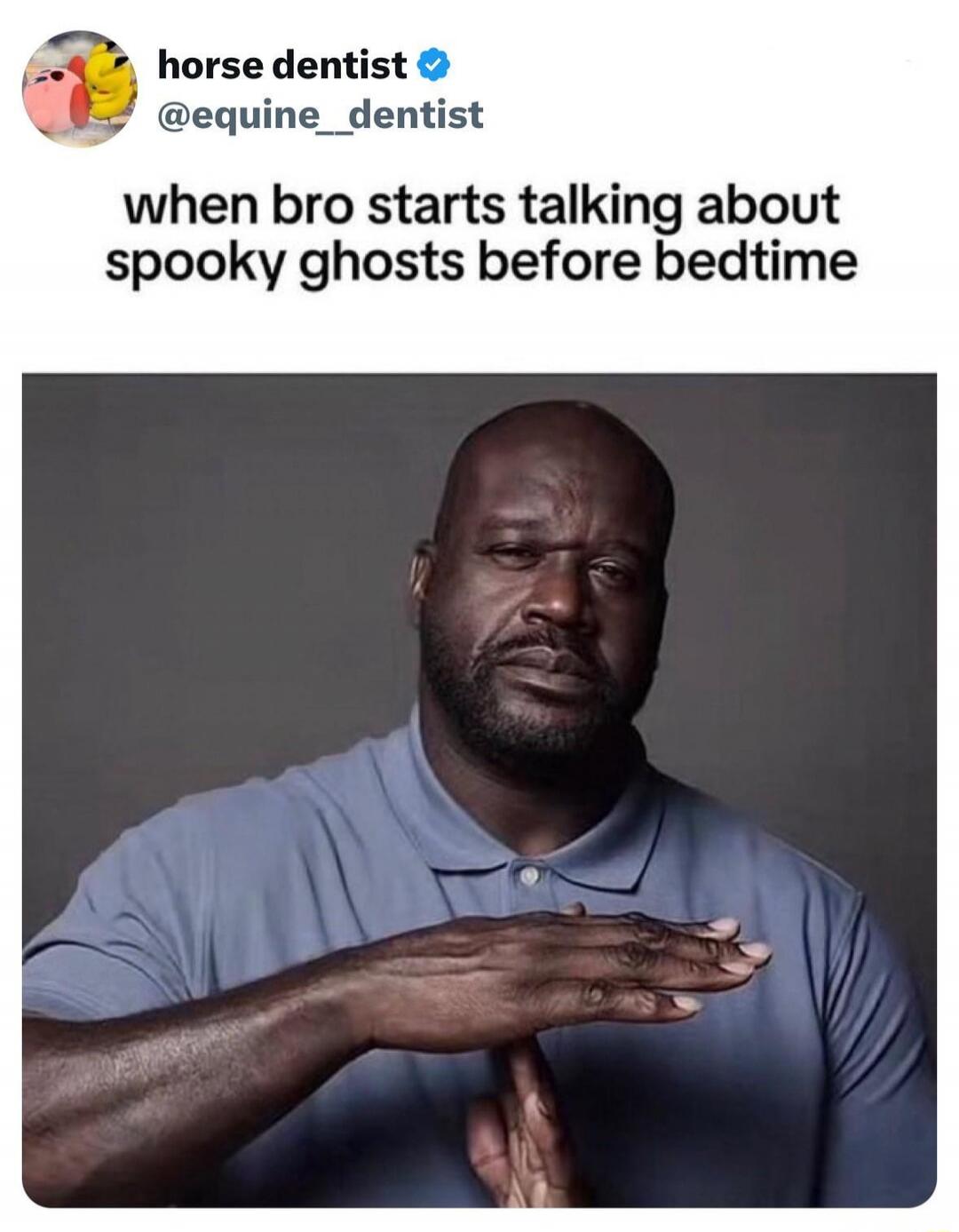 horse dentist @equine_dentist
when bro starts talking about spooky ghosts before bedtime
