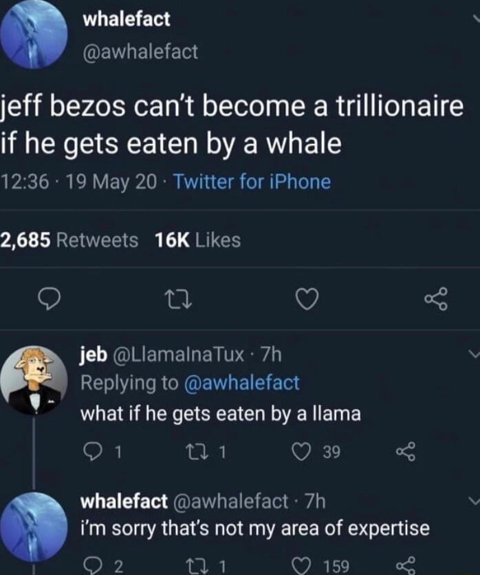 whalefact EENLEIEELS jeff bezos cant become a trillionaire G EEEE LT GERGEl 1236 19 May 20 Twitter for iPhone 2685 Retweets 16K Likes Q Q j L YQIREELE T GELVL T RENOENLEIEETe what if he gets eaten by a llama Q1 01 VA whalefact awhalefact 7h im sorry thats not my area of expertise oF 111 159