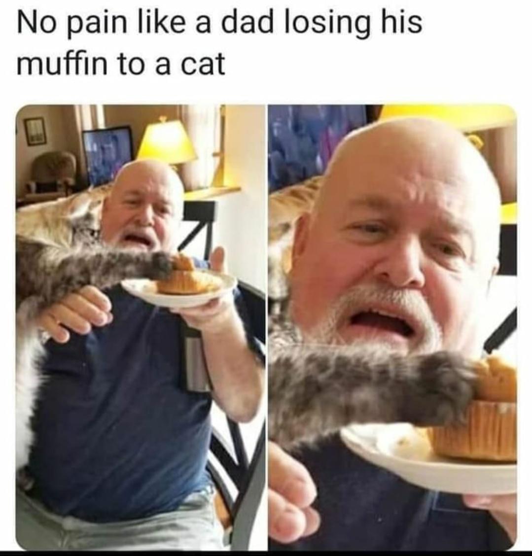 No pain like a dad losing his muffin to a cat