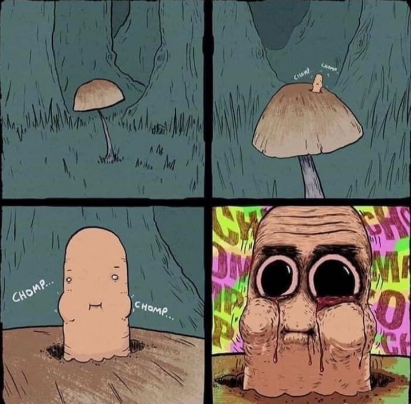 s R LN D LRl b RN PN S P