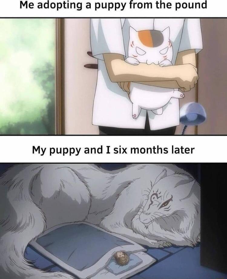 Me adopting a puppy from the pound