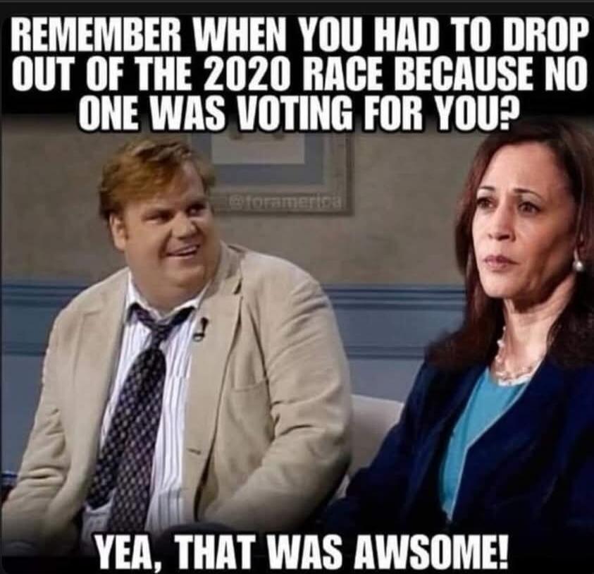 REMEMBER WHEN YOU HAD TO DROP OUT OF THE 2020 RACE BECAUSE NO ONE WAS VOTING FOR YOU? YEA, THAT WAS AWSOME!