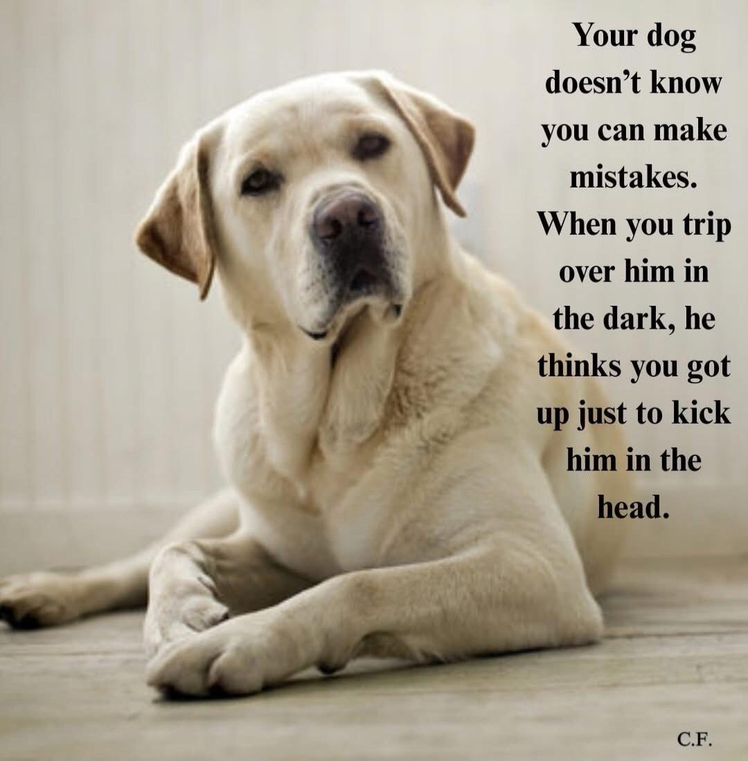 Your dog doesn’t know you can make mistakes. When you trip over him in the dark, he thinks you got up just to kick him in the head.\n\nC.F.