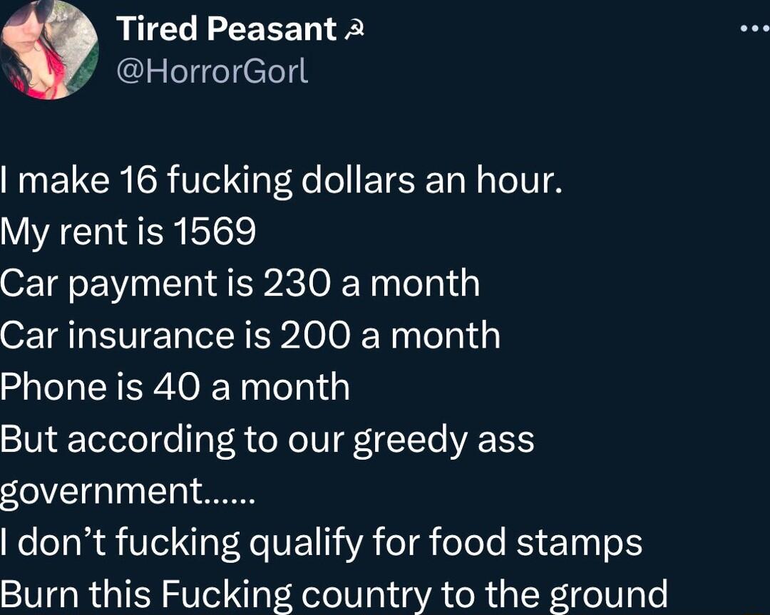 RUCLLEERET Y HorrorGorl make 16 fucking dollars an hour My rent is 1569 Car payment is 230 a month Car insurance is 200 a month Phone is 40 a month But according to our greedy ass government NeleTolaa VeI NI lHe VEI 13 YA e eTe e B ETpa 1o Burn this Fucking country to the ground