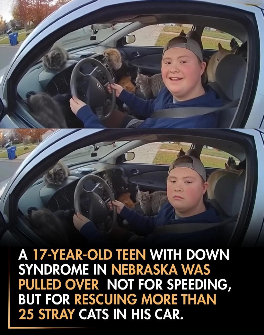 A 17-YEAR-OLD TEEN WITH DOWN SYNDROME IN NEBRASKA WAS PULLED OVER NOT FOR SPEEDING, BUT FOR RESCUING MORE THAN 25 STRAY CATS IN HIS CAR.