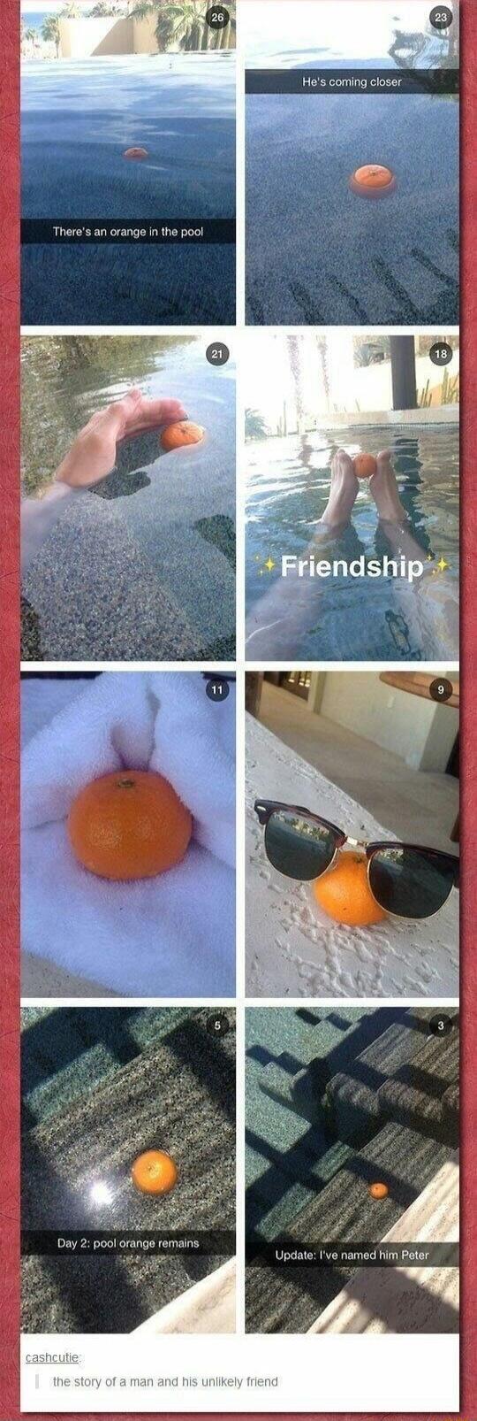 Eam Hes coming closer Theres an orange n the pool med him Peter