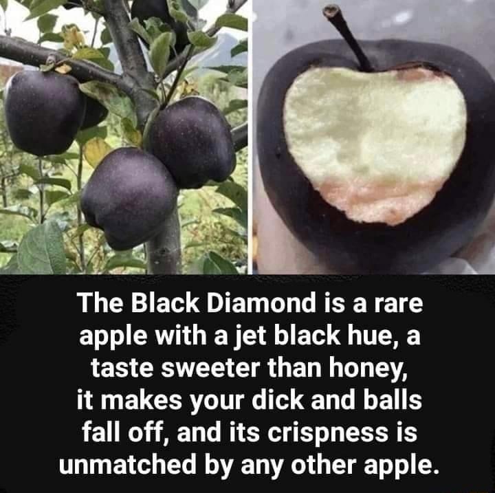 The Black Diamond is a rare apple with a jet black hue a taste sweeter than honey 14 ELCERTCTT 1T L GG E R fall off and its crispness is unmatched by any other apple