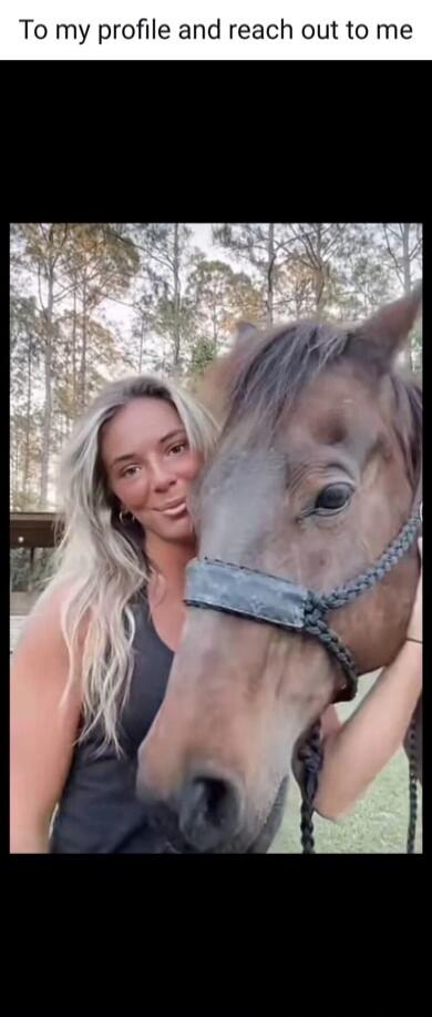 To my profile and reach out to me