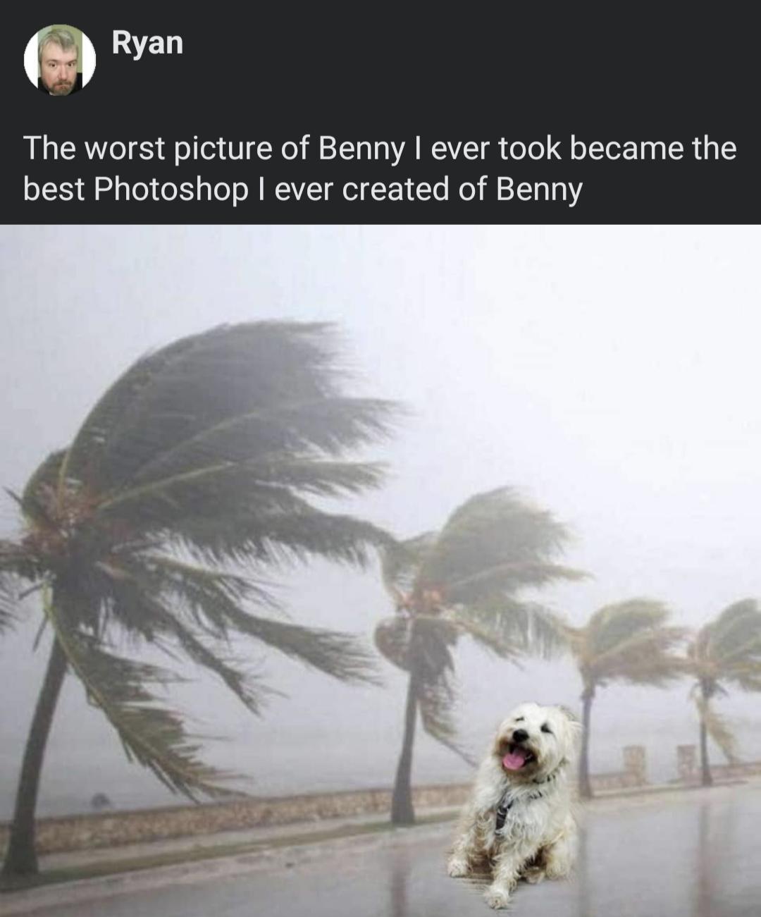 m Ryan The worst picture of Benny ever took became the best Photoshop ever created of Benny