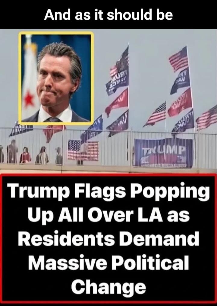 And as it should be Trump Flags Popping Up All Over LA as Residents Demand Massive Political Change