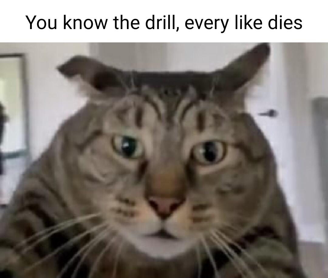 You know the drill every like dies