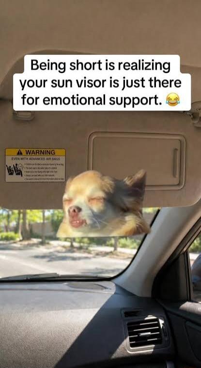 Being short is realizing your sun visor is just there for emotional support. 😂 WARNING EVEN WITH ADVANCED AIR BAGS