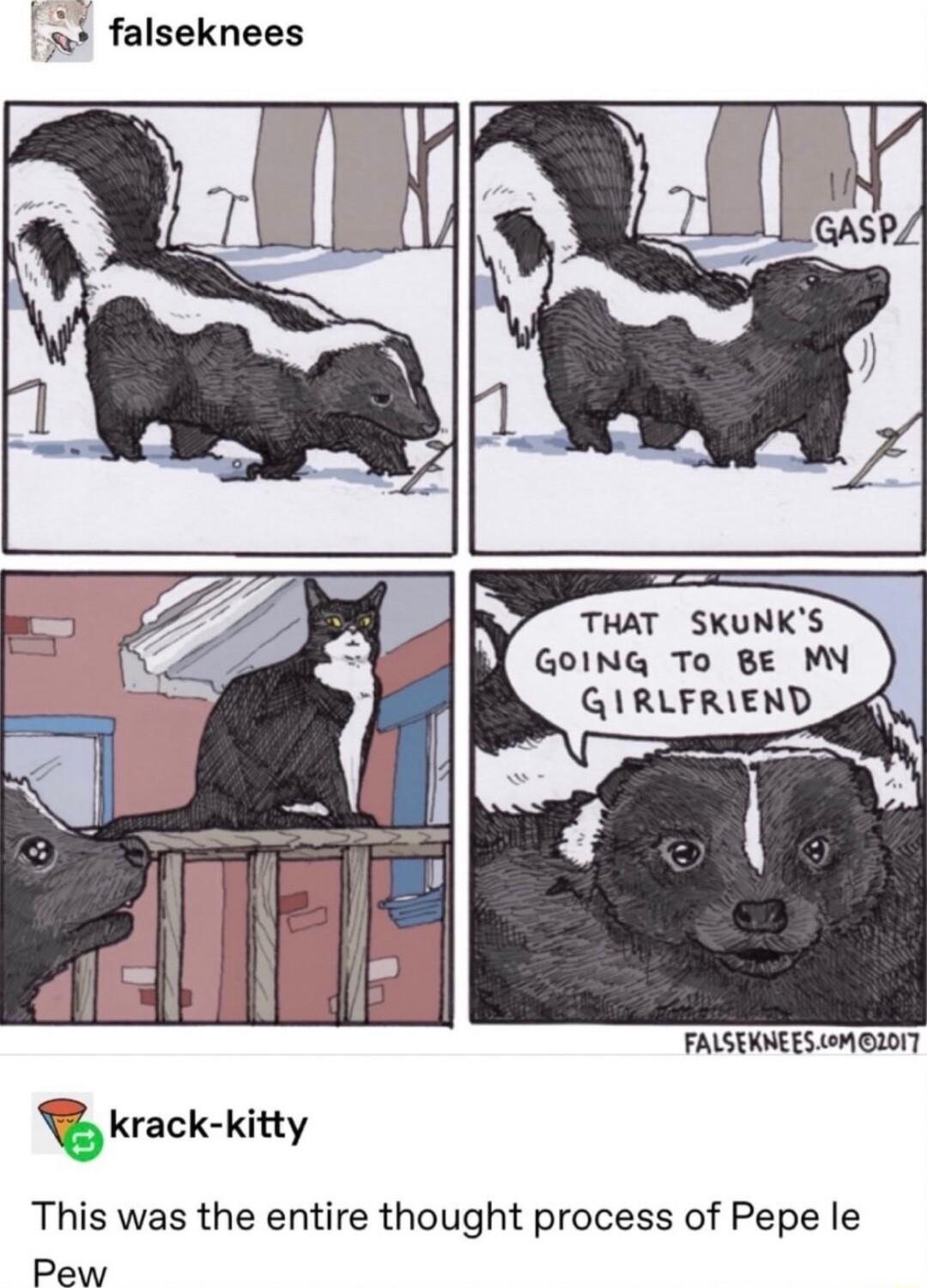 a falseknees THAT SKUNKS GOING To BE M GIRLFRIEND FALSERNEES oM 207 This was the entire thought process of Pepe le Pew