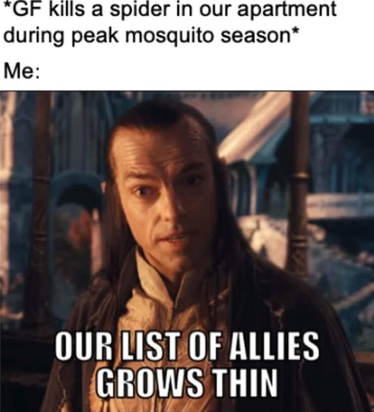 Ills a spider in our apartment during peak mosquito season Me P 4 n OURISTOF ALLIES HETSLLT