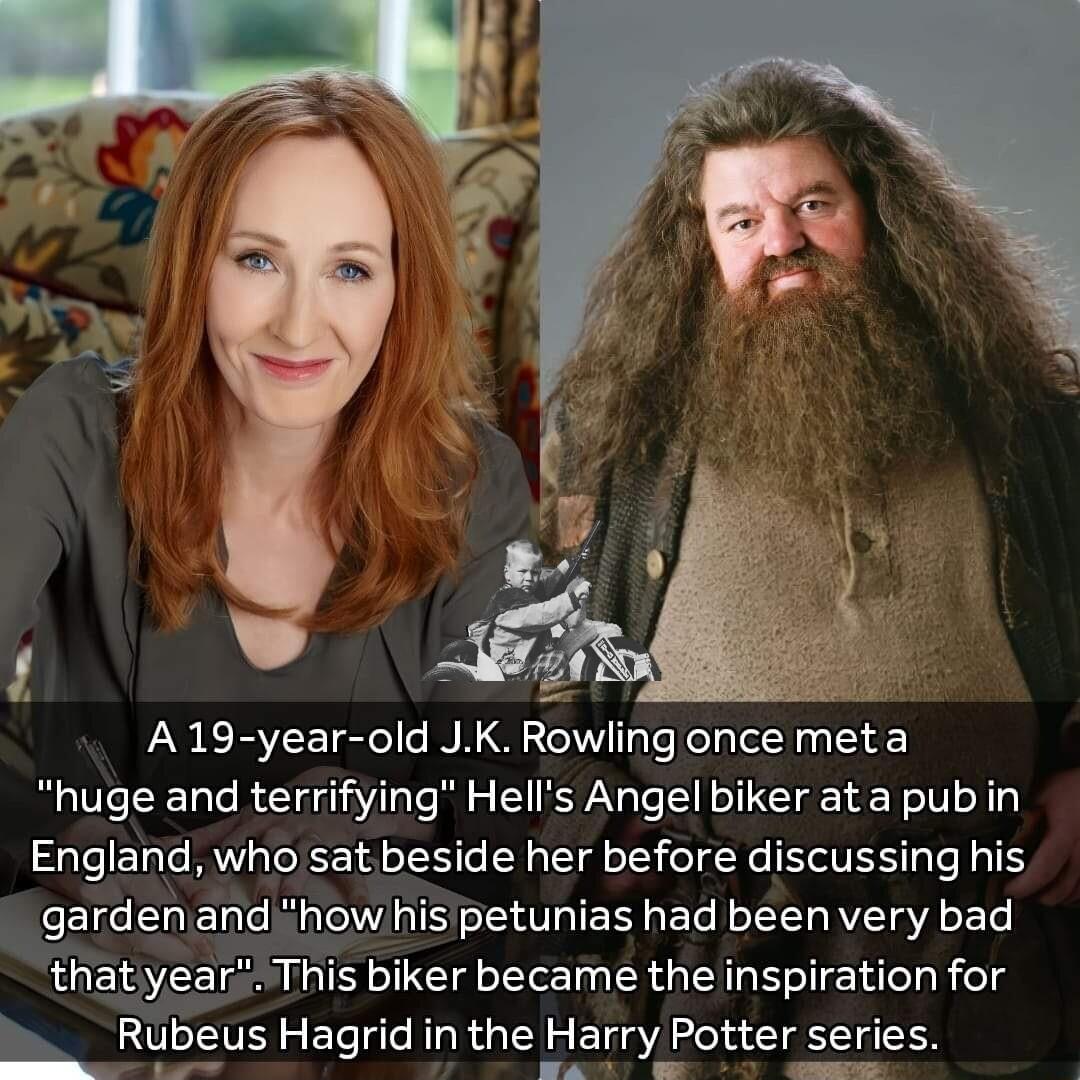 A19 year old JK Rowling once meta huge and terrifying Hells Angel biker at a pub in England who sat beside her before discussing his garden and how his petunias had been very bad tha This biker became the inspiration for eus Hagrid in the Harry Potter series AR