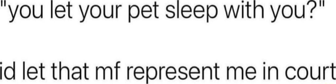 you let your pet sleep with you d let that mf represent me in court