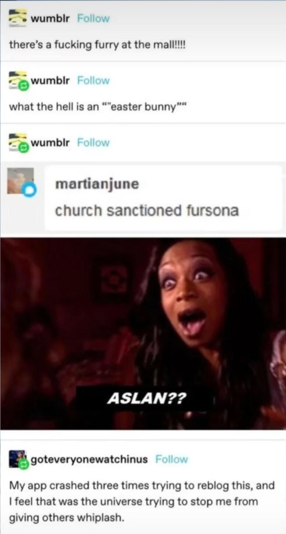 wumblr w theres a fucking furry at the mall wumbly what the hell is an easter bunny wumblr njune o ma church sanctioned fursona ASLAN goteveryonewatchinus My app crashed three times trying to reblog this and feel that was the universe trying to stop me from giving others whiplash
