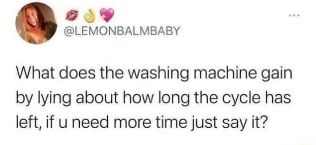oY LEMONBALMBABY What does the washing machine gain by lying about how long the cycle has left if u need more time just say it