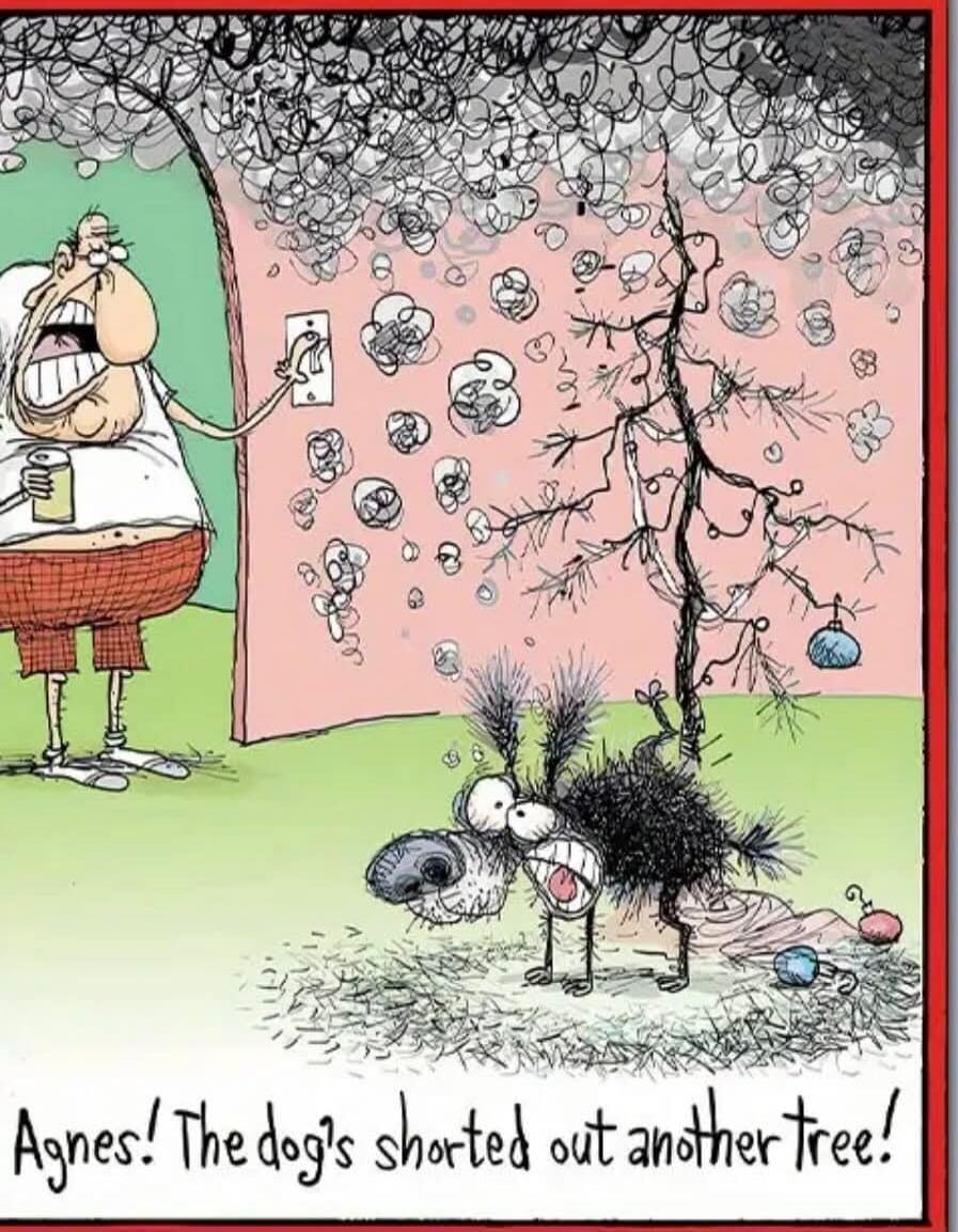 Agnes! The dog's shorted out another tree!