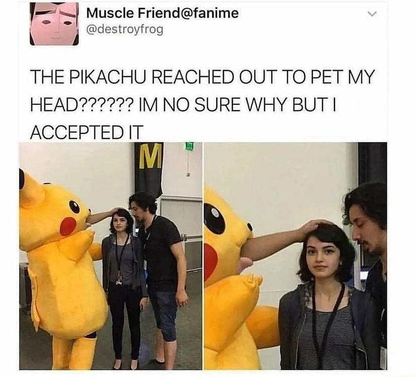 Muscle Friendfanime 1 destroyfrog THE PIKACHU REACHED OUT TO PET MY