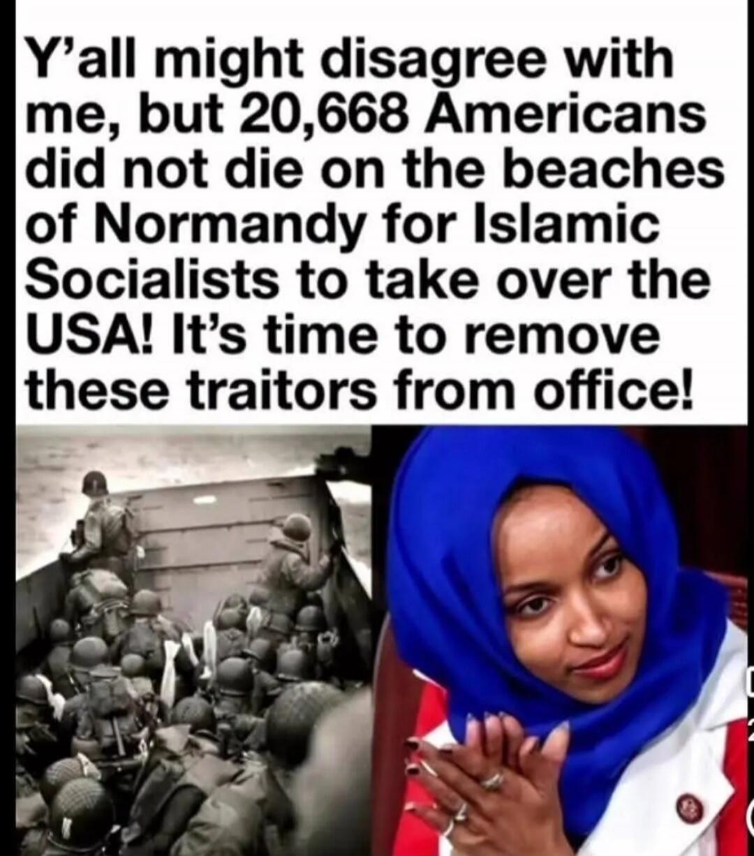 Y'all might disagree with me, but 20,668 Americans did not die on the beaches of Normandy for Islamic Socialists to take over the USA! It's time to remove these traitors from office!