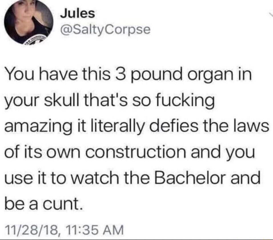 Jules SaltyCorpse o Y You have this 3 pound organ in your skull thats so fucking amazing it literally defies the laws of its own construction and you use it to watch the Bachelor and be a cunt 112818 1135 AM