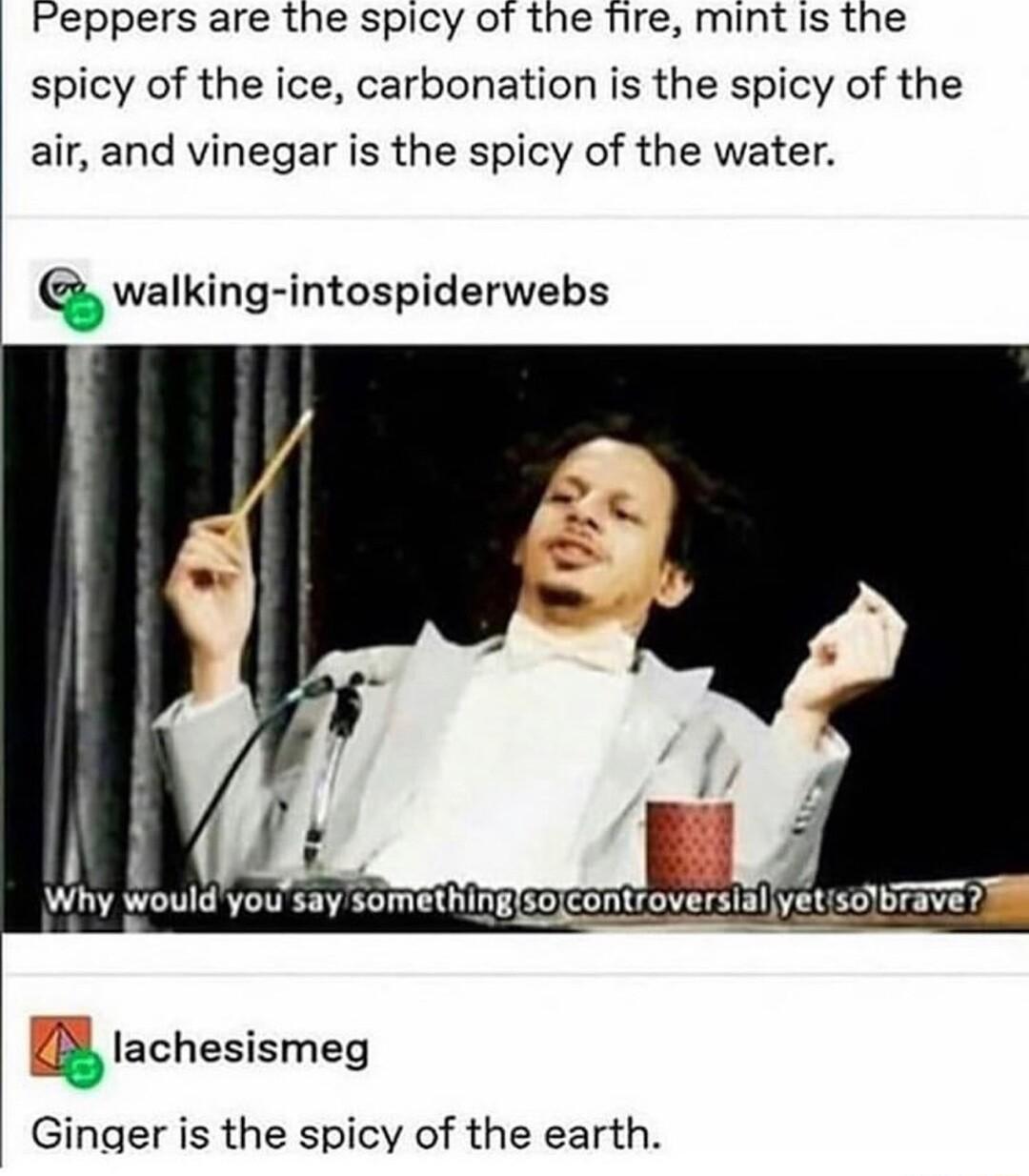 Peppers are the spicy of the Tfire mint is the spicy of the ice carbonation is the spicy of the air and vinegar is the spicy of the water Q walking intospiderwebs Why wouldyousay somethinglsojcontroversiallyetisbrave 1 J lachesismeg Ginger is the spicy of the earth