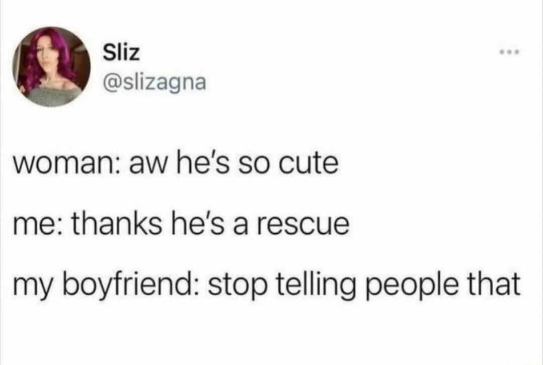 woman: aw he's so cute
me: thanks he's a rescue
my boyfriend: stop telling people that