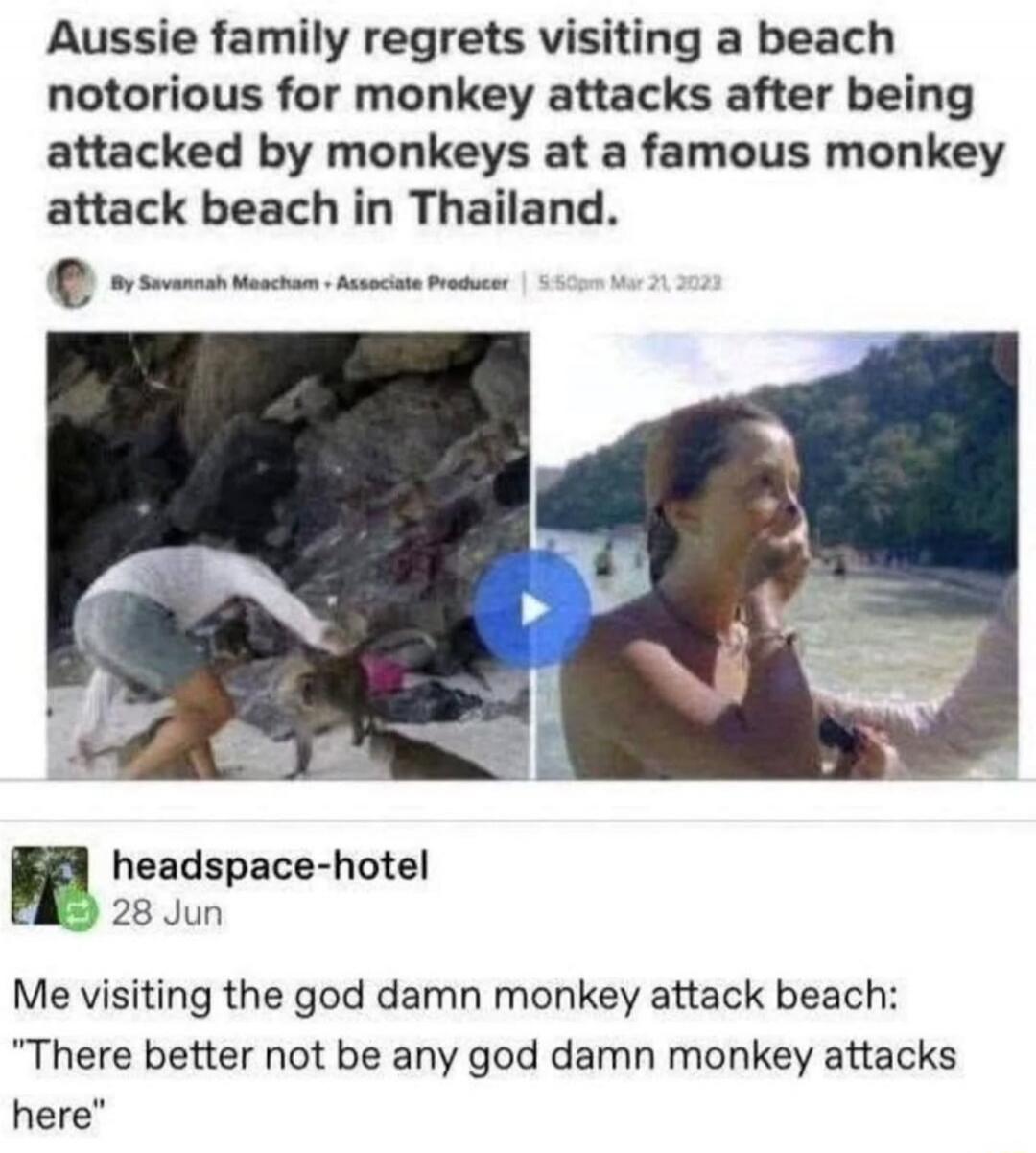Aussie family regrets visiting a beach notorious for monkey attacks after being attacked by monkeys at a famous monkey attack beach in Thailand. By Savannah Meacham • Associate Producer | 5:50pm Mar 21, 2023. headspace-hotel 28 Jun. Me visiting the god damn monkey attack beach: 
