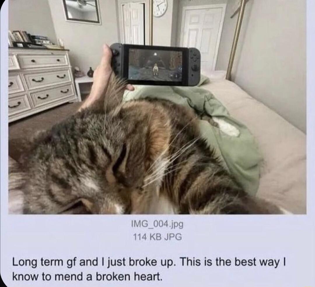 Long term gf and just broke up This is the best way know to mend a broken heart