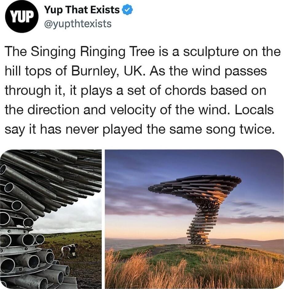 Yup That Exists yupthtexists The Singing Ringing Tree is a sculpture on the hill tops of Burnley UK As the wind passes through it it plays a set of chords based on the direction and velocity of the wind Locals say it has never played the same song twice