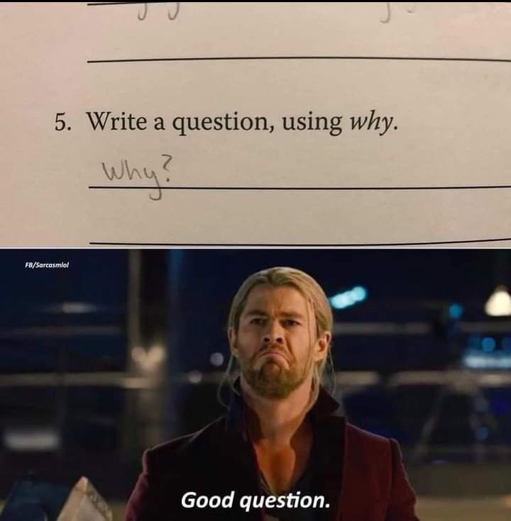 5 Write a question using why Wh YW y Good question