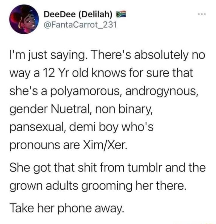 DeeDee Delilah B FantaCarrot_231 Im just saying Theres absolutely no way a 12 Yr old knows for sure that shes a polyamorous androgynous gender Nuetral non binary pansexual demi boy whos pronouns are XimXer She got that shit from tumblr and the grown adults grooming her there Take her phone away