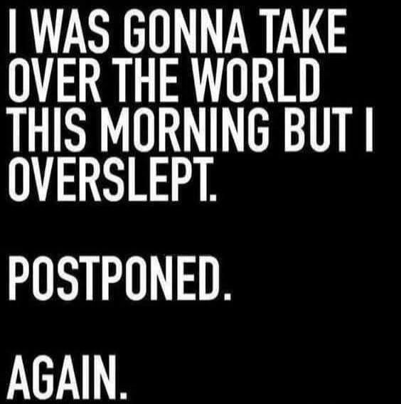I WAS GONNA TAKE OVER THE WORLD THIS MORNING BUT I OVERSLEPT. POSTPONED. AGAIN.