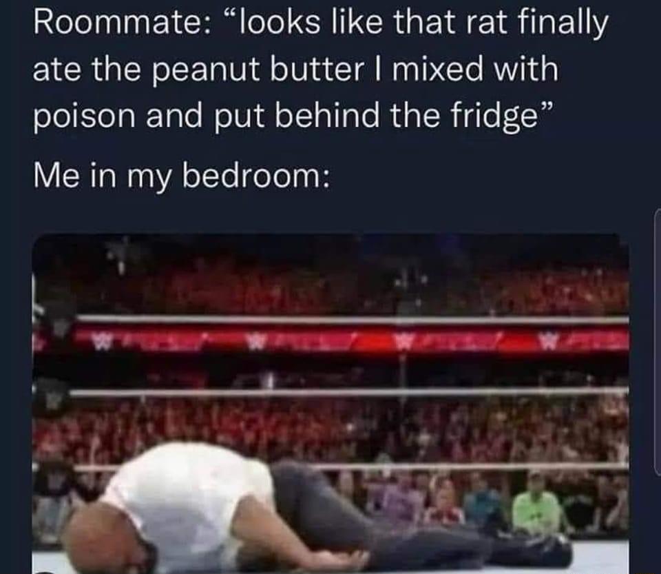 Roommate looks like that rat finally ate the peanut butter mixed with poison and put behind the fridge Me in my bedroom