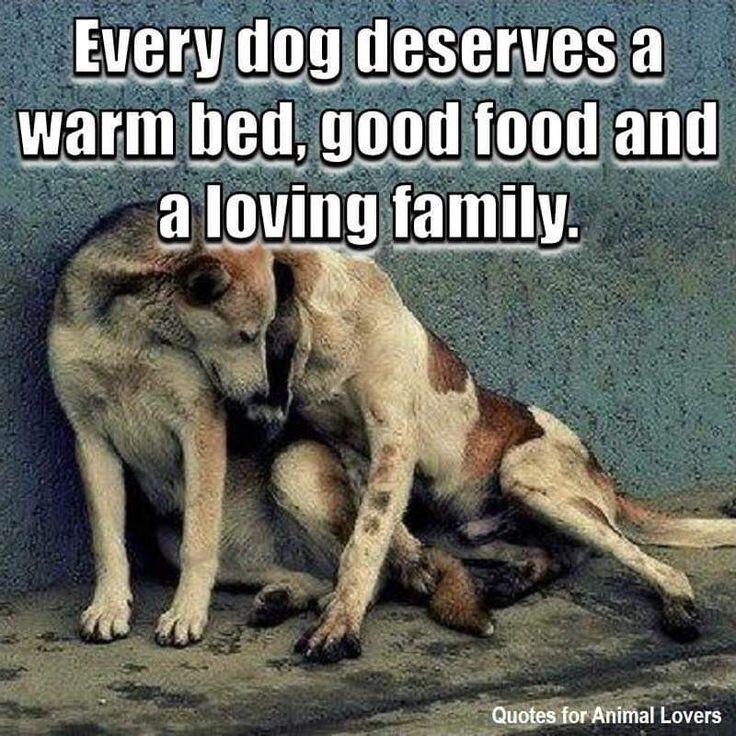 a loving family 3