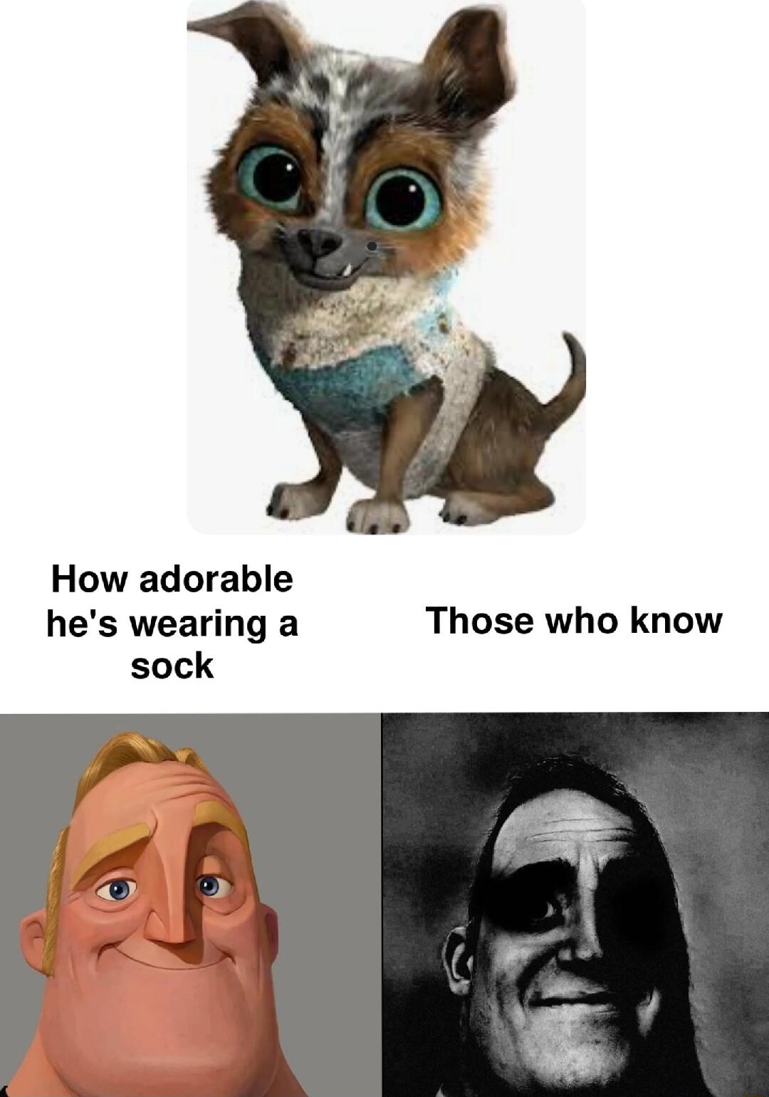 How adorable hes wearing a Those who know sock