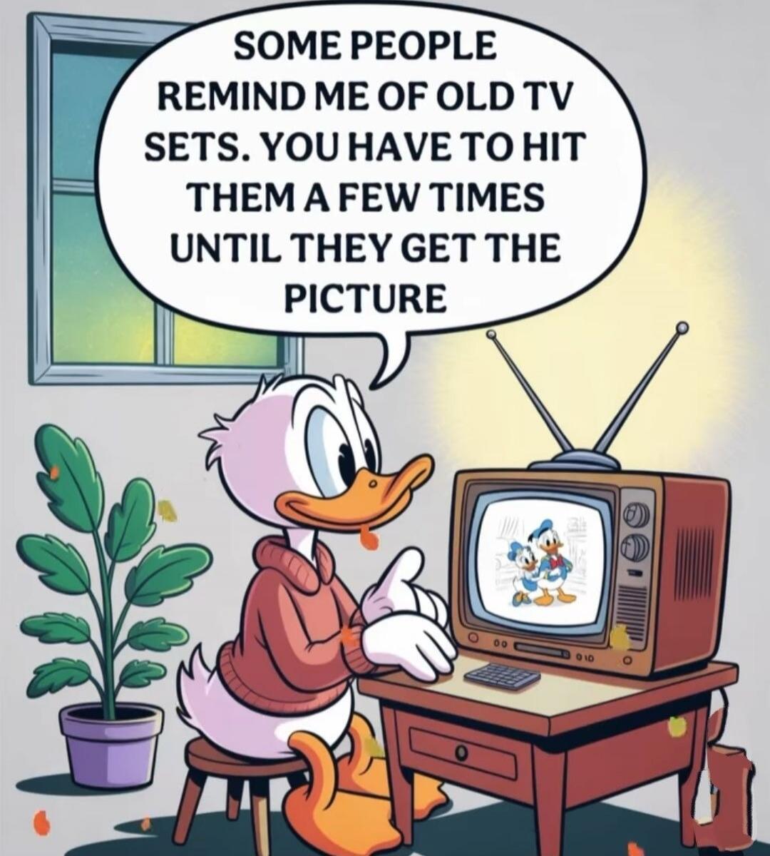 SOME PEOPLE REMIND ME OF OLD TV SETS. YOU HAVE TO HIT THEM A FEW TIMES UNTIL THEY GET THE PICTURE