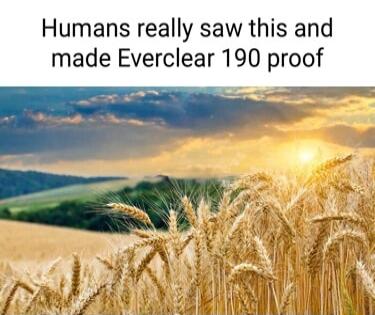 Humans really saw this and made Everclear 190 proof