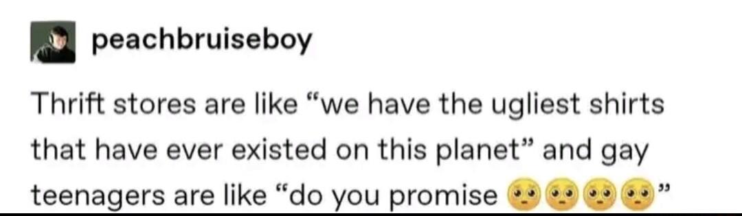 I peachbruiseboy Thrift stores are like we have the ugliest shirts that have ever existed on this planet and gay teenagers are like do you promise 2 5 65