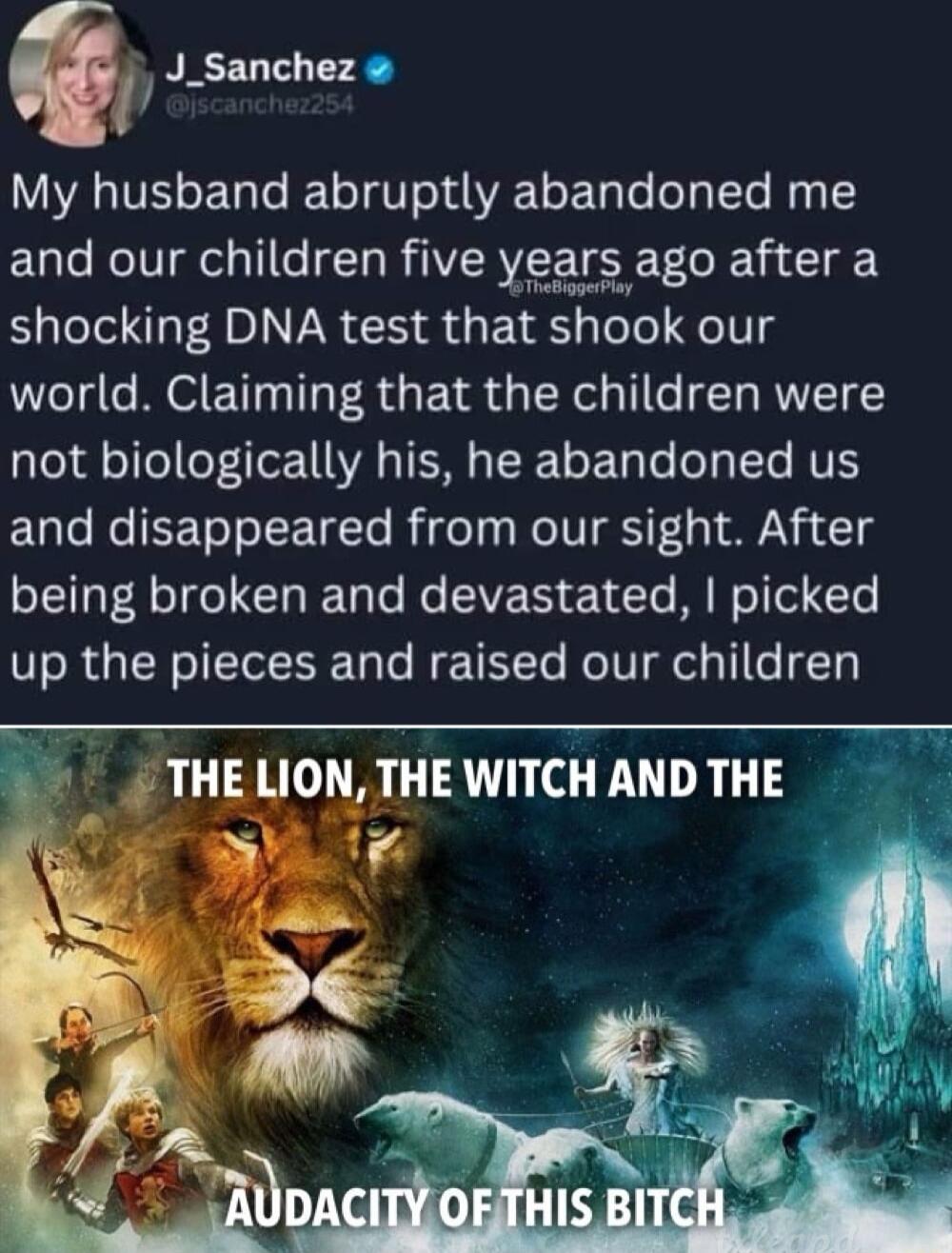 b J_Sanchez My husband abruptly abandoned me and our children five years ago after a shocking DNA test that shook our world Claiming that the children were not biologically his he abandoned us and disappeared from our sight After LA CRIE T Ko AVER 14T RN oITo E Te up the pieces and raised our children THELIONTHEWITCHANDTHE