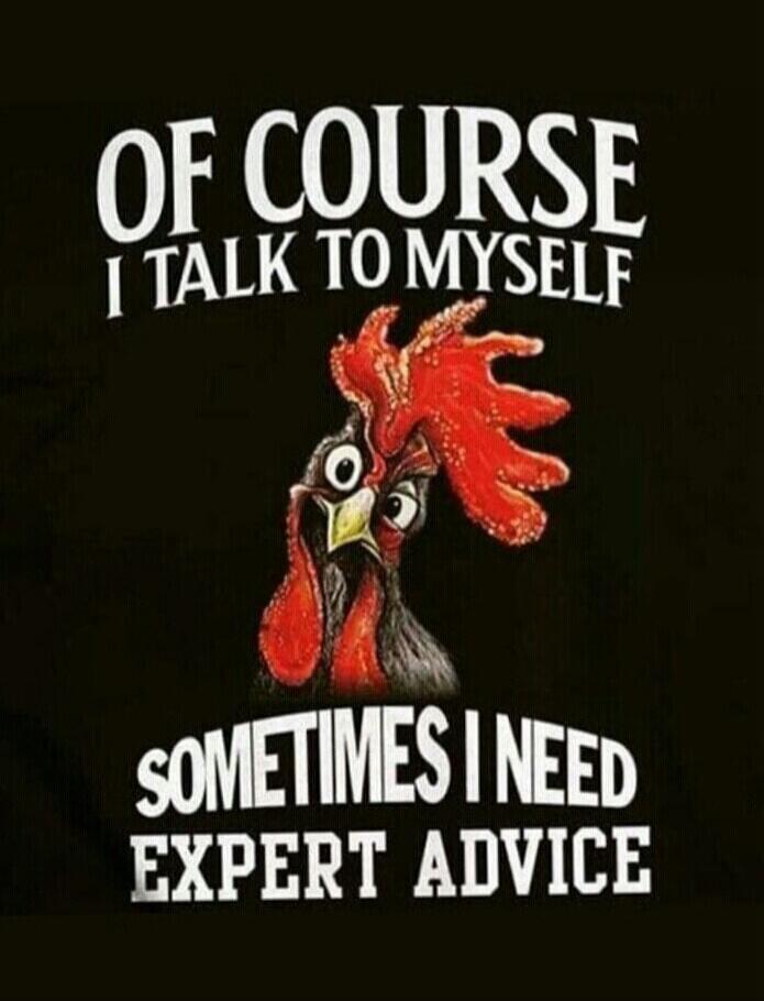 OF COURSE I TALK TO MYSELF SOMETIMES I NEED EXPERT ADVICE