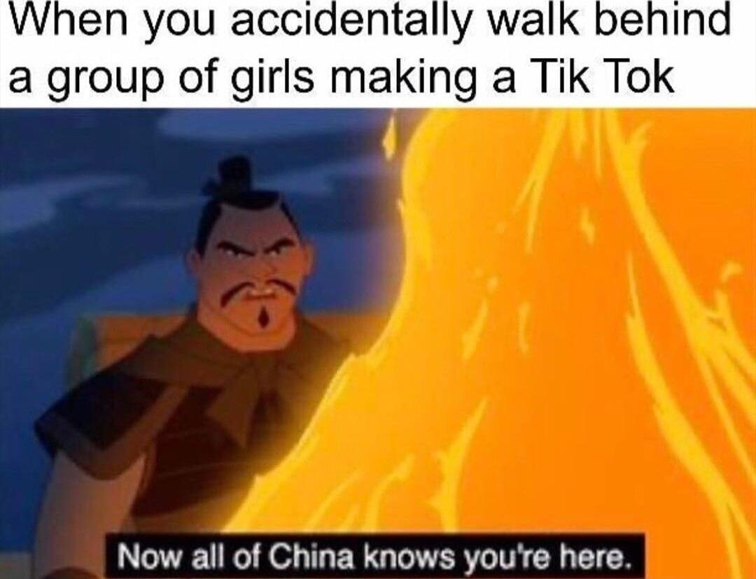 When you accidentally walk behin a group of girls making a Tik Tok Now all of China knows youre here