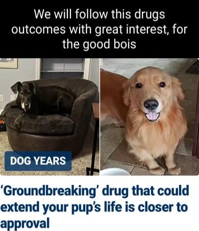 VAR R IR GIER T F outcomes with great interest for the good bois Groundbreakmg drug that could extend your pups life is closer to approval
