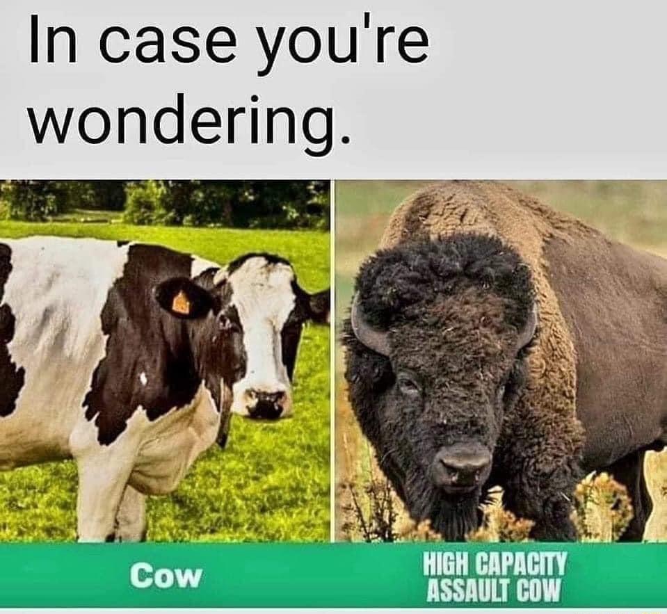 In case youre wondering T R i uw v v AP 0 G f